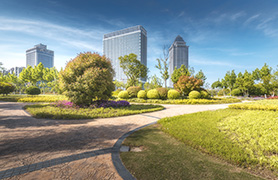 肖特基二极管与普通二极管有啥区别