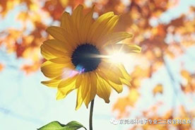 良心做企业 爱心做慈善